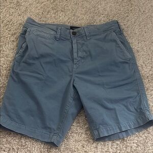 American Eagle Outfitters Blue Flat Front Chino Shorts